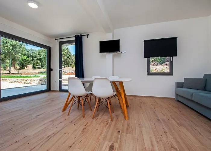 David * Ρόβινι