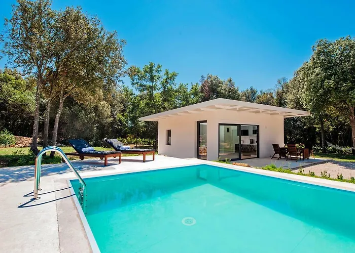 David * Ρόβινι