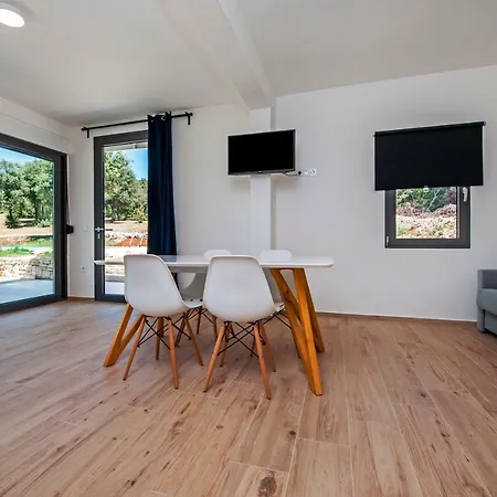 David * רוביני