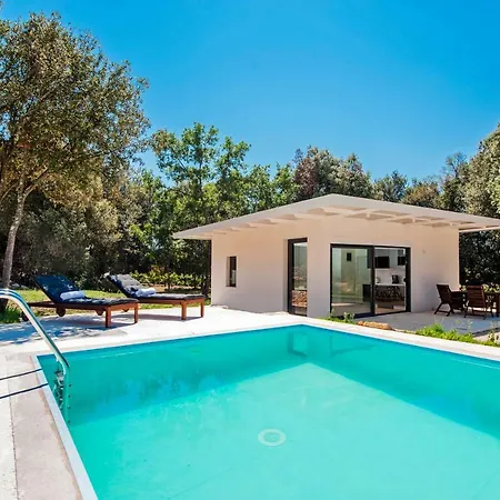 David * רוביני